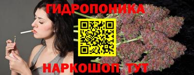 крисы Кунгур