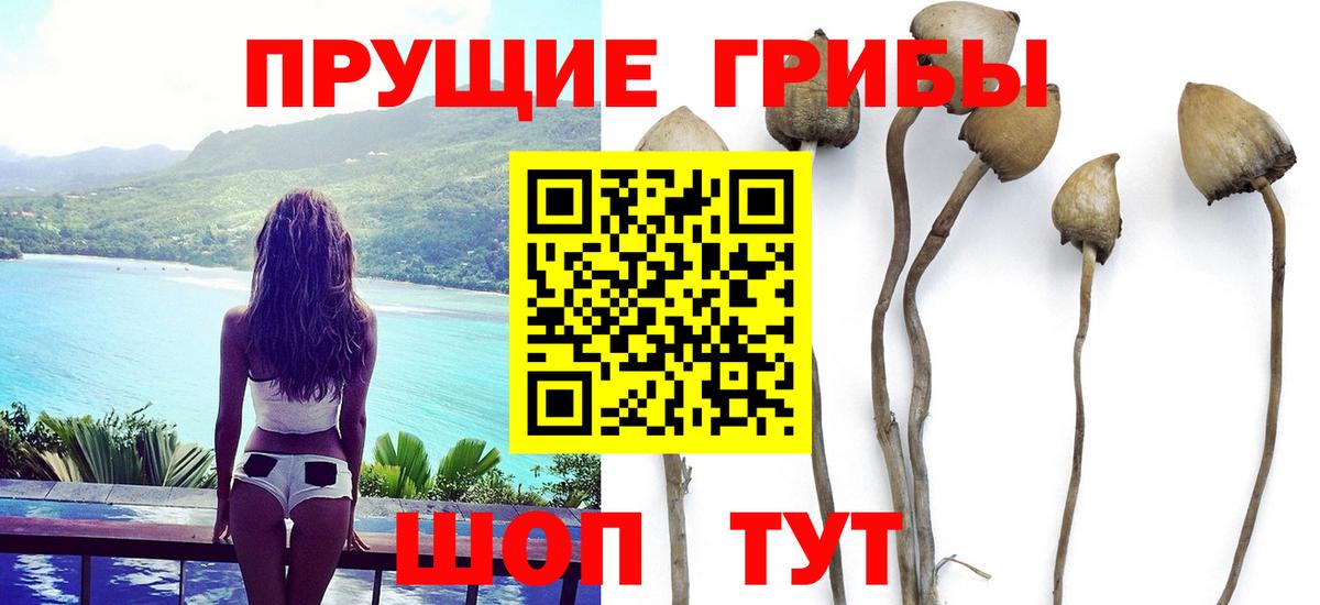 Псилоцибиновые грибы мухоморы  Вход с VPN  Всеволожск 