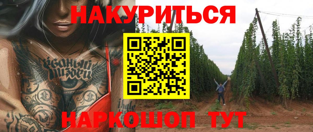 Каннабис индика Всеволожск